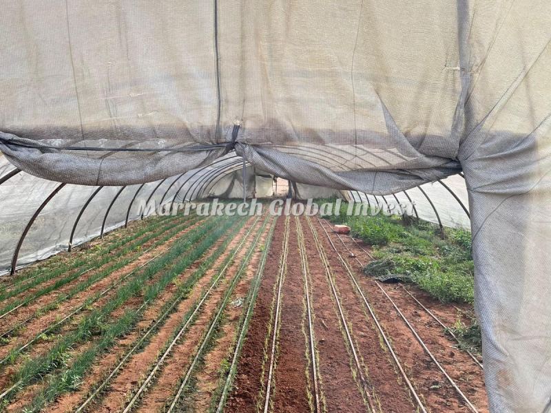 Ferme de 4,8 hectares avec villa à vendre – Ben Yekhlaf, Mohammedia – photo 4