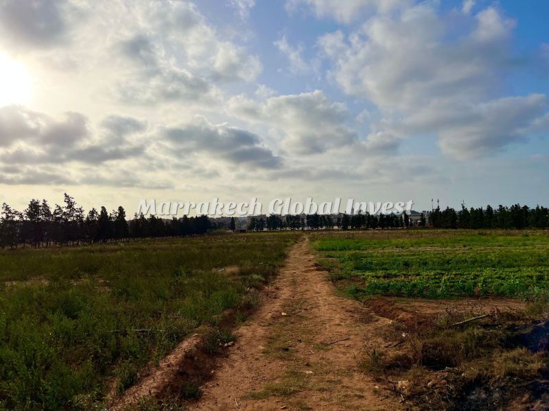 Ferme de 4,8 hectares avec villa à vendre – Ben Yekhlaf, Mohammedia – photo 5